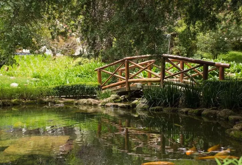 Carballo Hotel & Spa