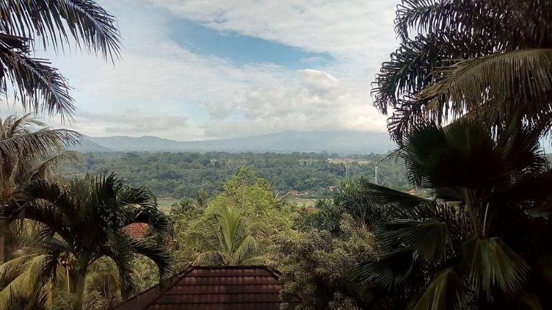 The Oxalis Regency Hotel Magelang