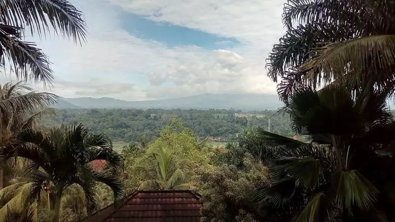 The Oxalis Regency Hotel Magelang