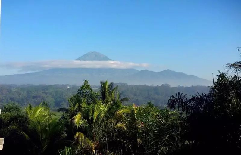 The Oxalis Regency Hotel Magelang