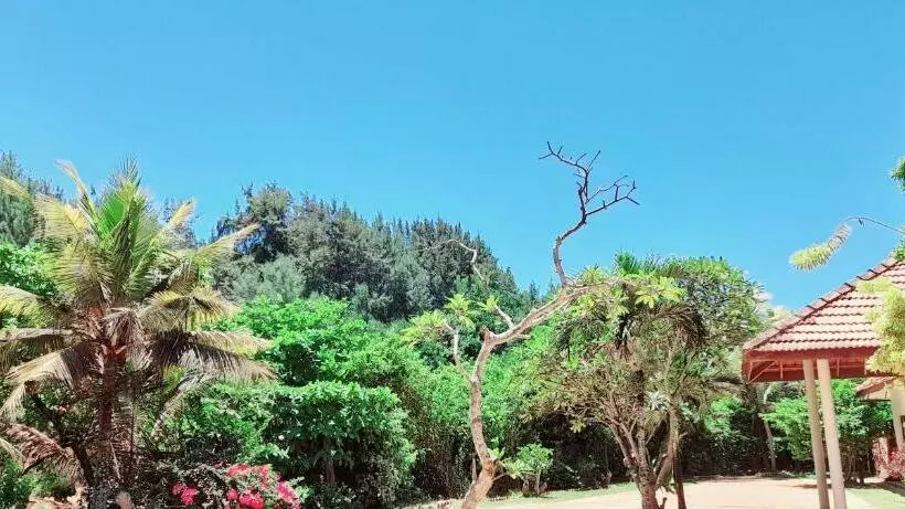 Aamiaismajoitus (B&B) Isuru Holiday Inn