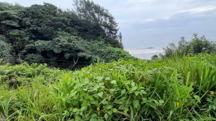 مبيت وإفطار Isuru Holiday Inn