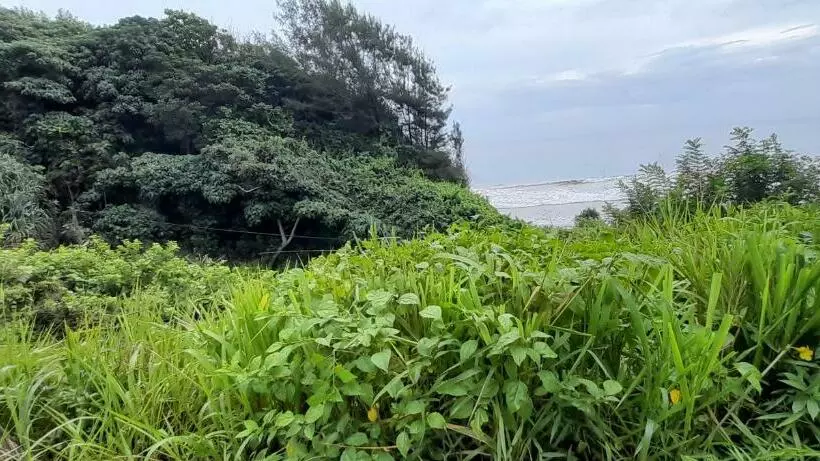 Aamiaismajoitus (B&B) Isuru Holiday Inn