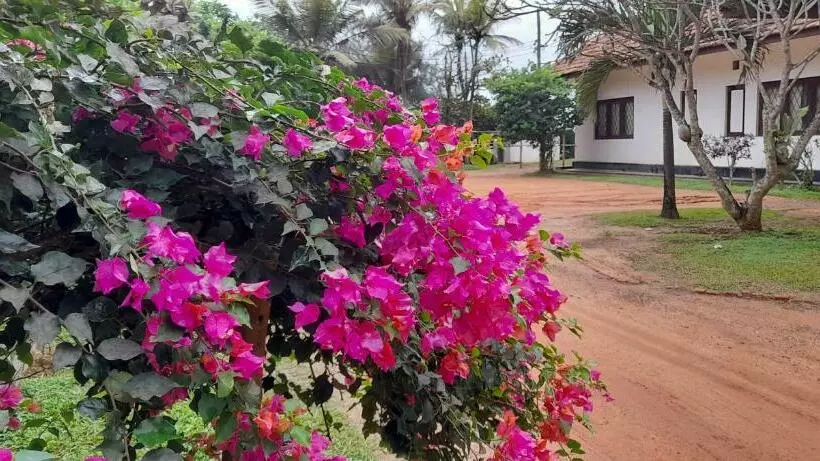 Aamiaismajoitus (B&B) Isuru Holiday Inn