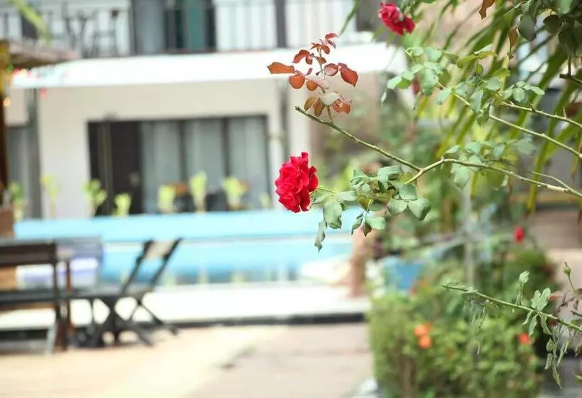 ホテル Confetti Garden Resort