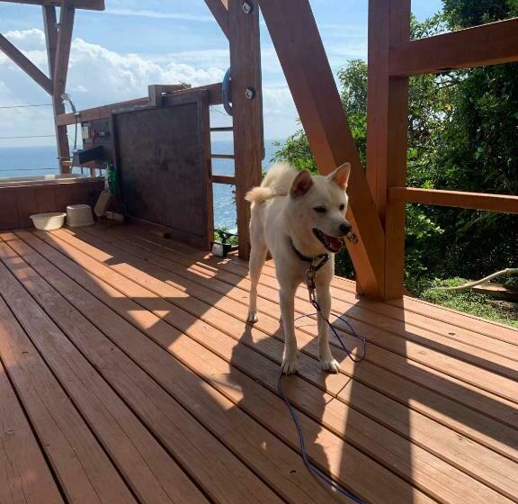 בית מלון כפרי Takahira Base   Vacation Stay 61542v