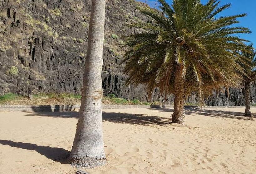 פנסיון Casa Tortuga