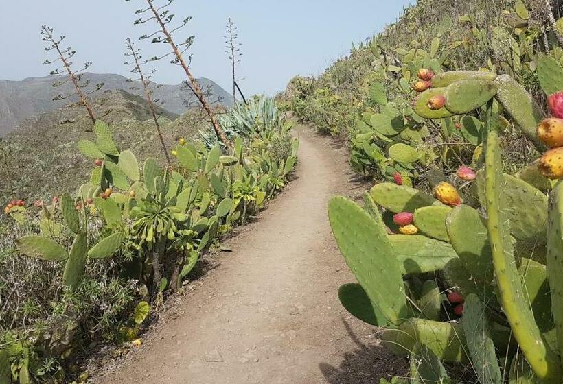 פנסיון Casa Tortuga