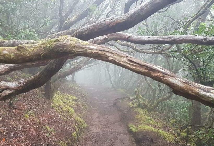 פנסיון Casa Tortuga