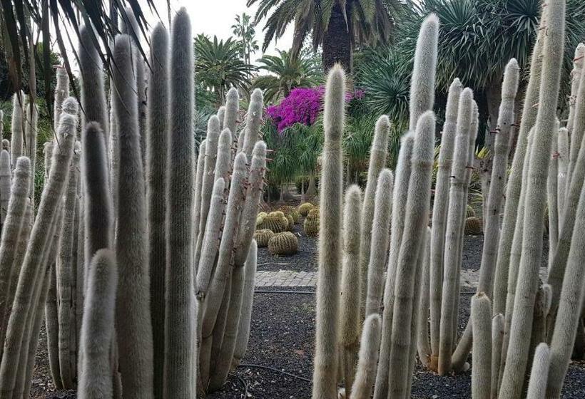 פנסיון Casa Tortuga