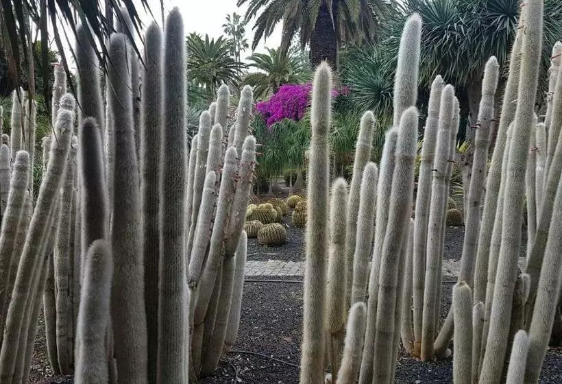 پانسیون Casa Tortuga