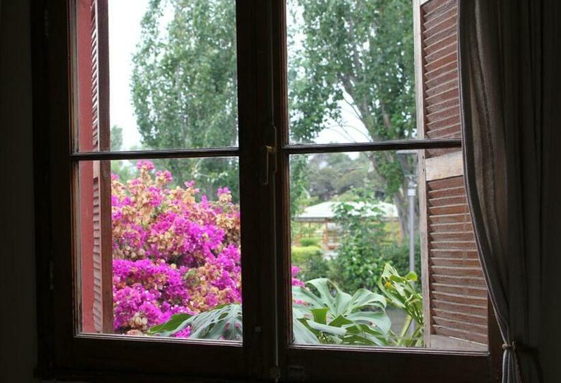 צימר Downtown Hostel