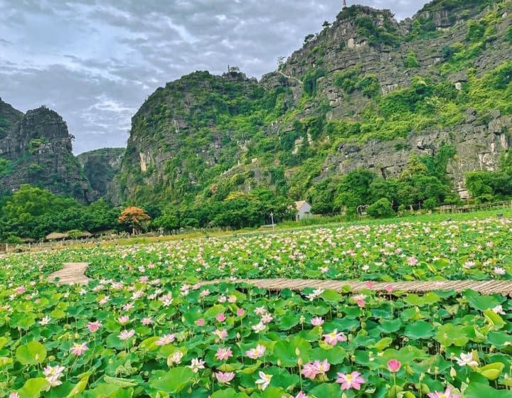 Hotelli Ninh Binh Royal Homestay