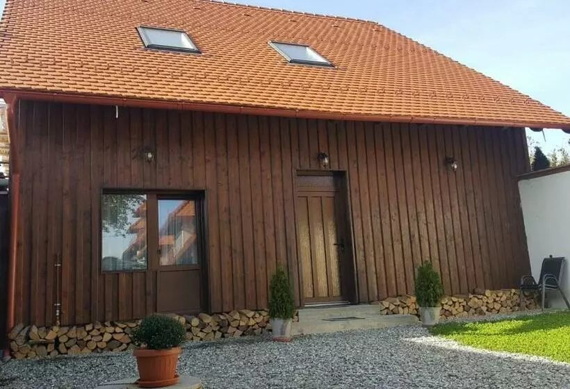 ペンション Casa Sura Sasilor