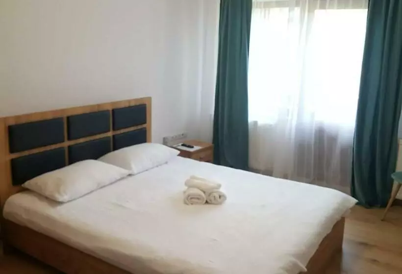 ペンション Casa Sura Sasilor