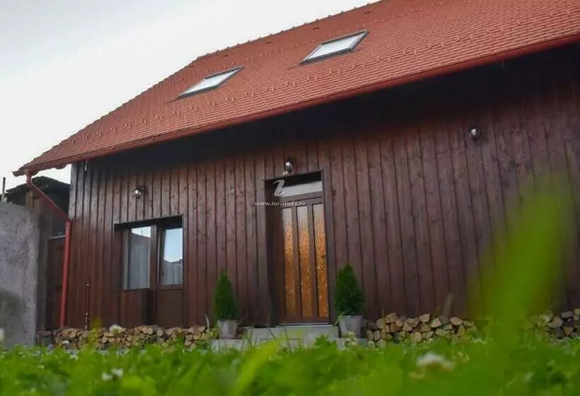 ペンション Casa Sura Sasilor