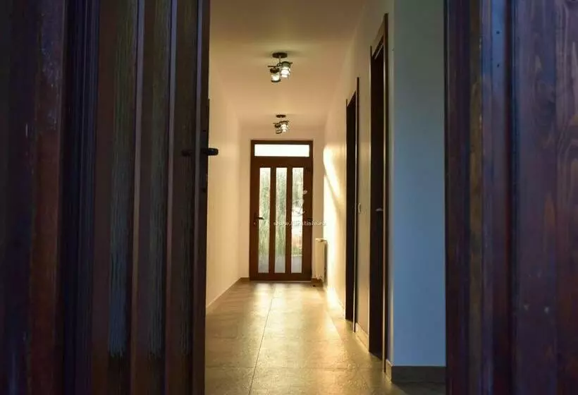 ペンション Casa Sura Sasilor