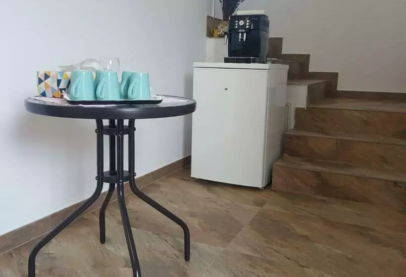 ペンション Casa Sura Sasilor