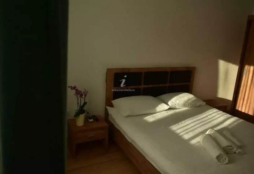 ペンション Casa Sura Sasilor