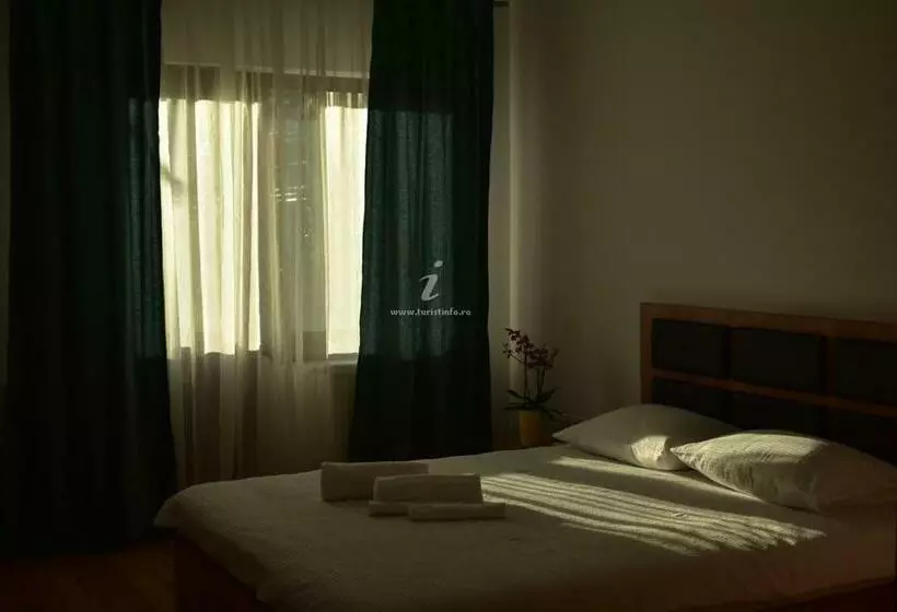 ペンション Casa Sura Sasilor