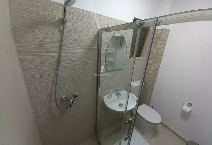 ペンション Casa Sura Sasilor