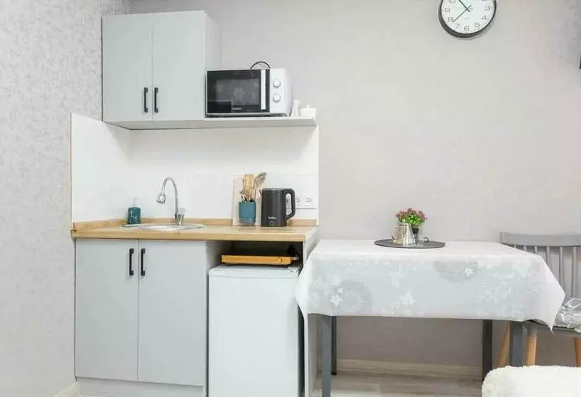 уютная студия в центре