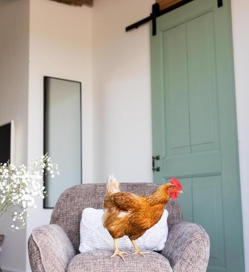 צימר De Zuiderstolp