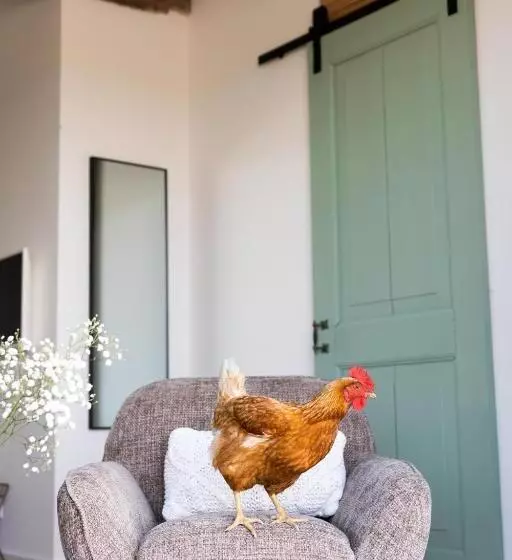 Aamiaismajoitus (B&B) De Zuiderstolp