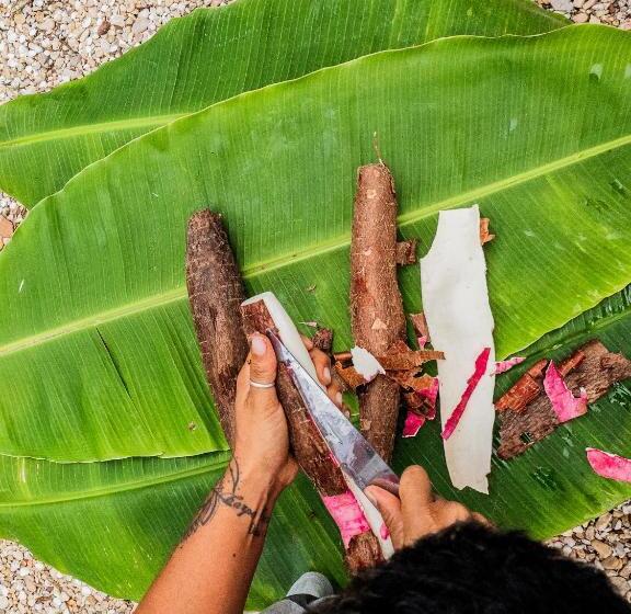 住宿加早餐  Tatajuba Hostel Casa Pascual