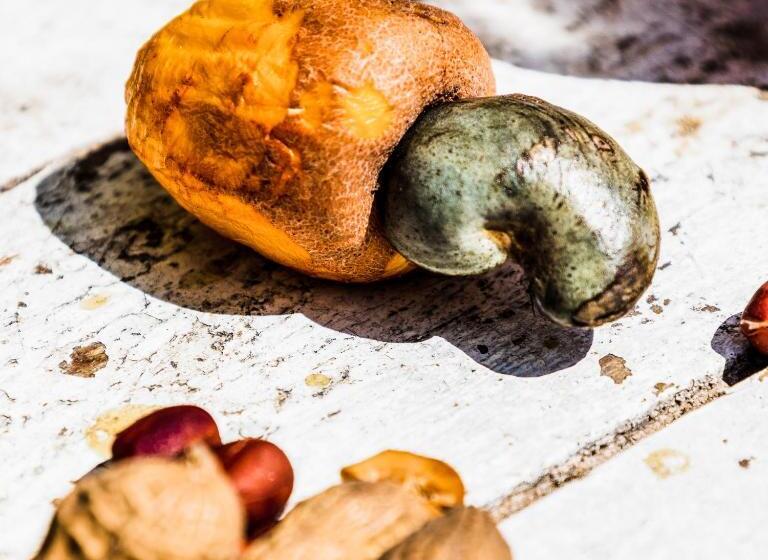 住宿加早餐  Tatajuba Hostel Casa Pascual