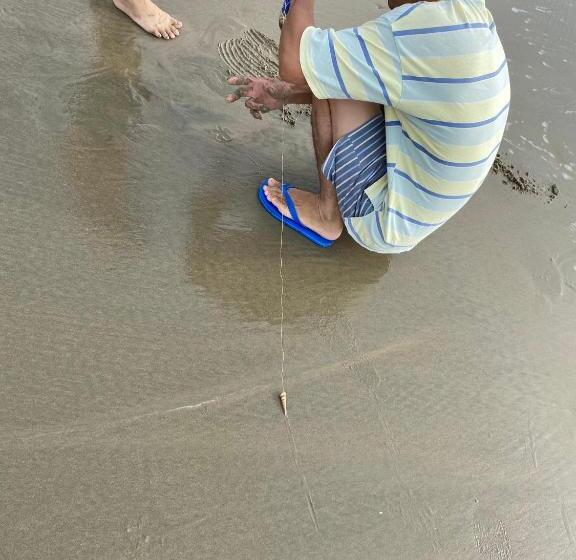 Thảo Căn Hộ ở Trong Ngày Sát Biển