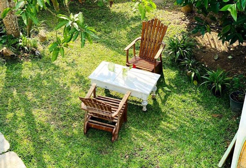 ペンション Madiha Surf House Lanka