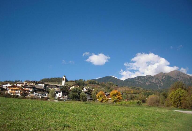 Отель Albergo Bellaria