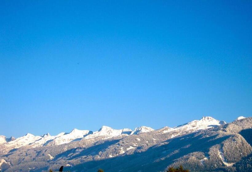 Отель Albergo Bellaria