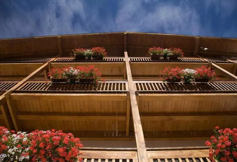 ホテル Albergo Bellaria