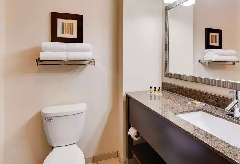 ホテル Best Western Plus Atrium Inn & Suites