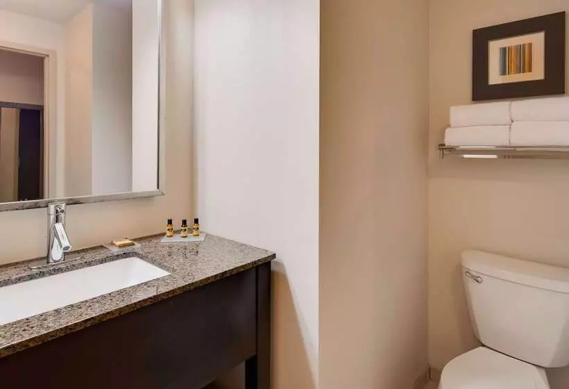 ホテル Best Western Plus Atrium Inn & Suites