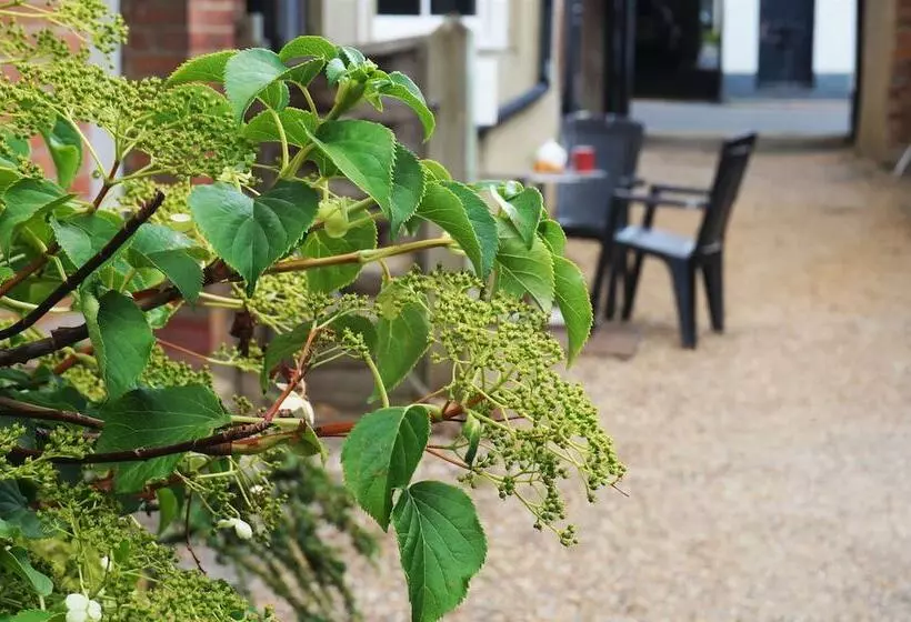 هتل Greyfriars Lodge Canterbury