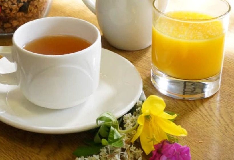 فندق Greyfriars Lodge Canterbury