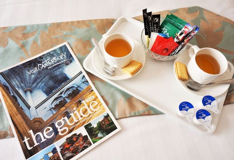 فندق Greyfriars Lodge Canterbury