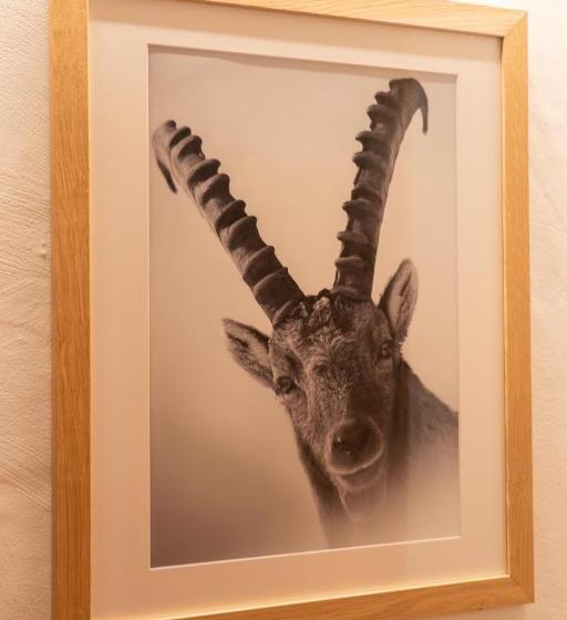 فندق Les Chamois