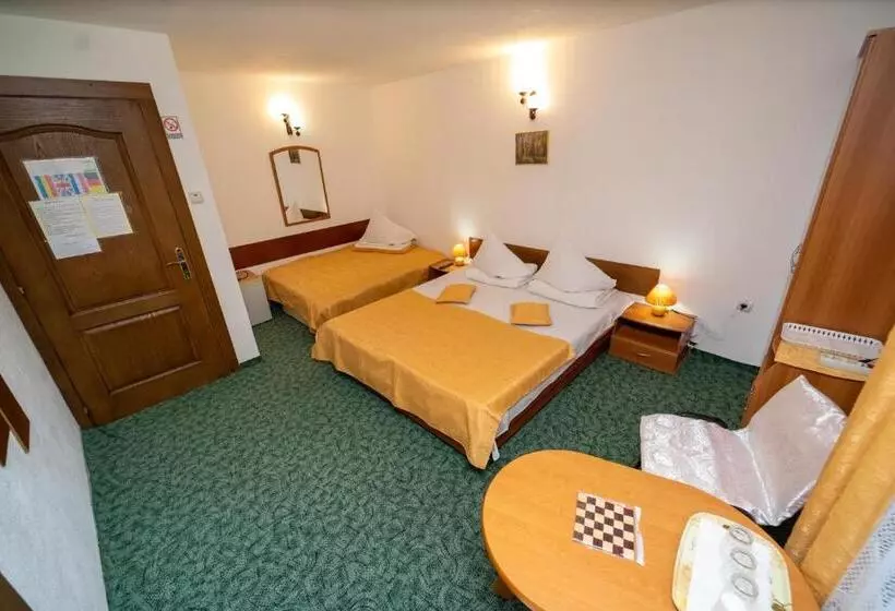 Hotel Pensiunea Margaritar