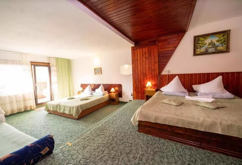 Hotel Pensiunea Margaritar