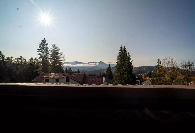 Hotel Pensiunea Margaritar