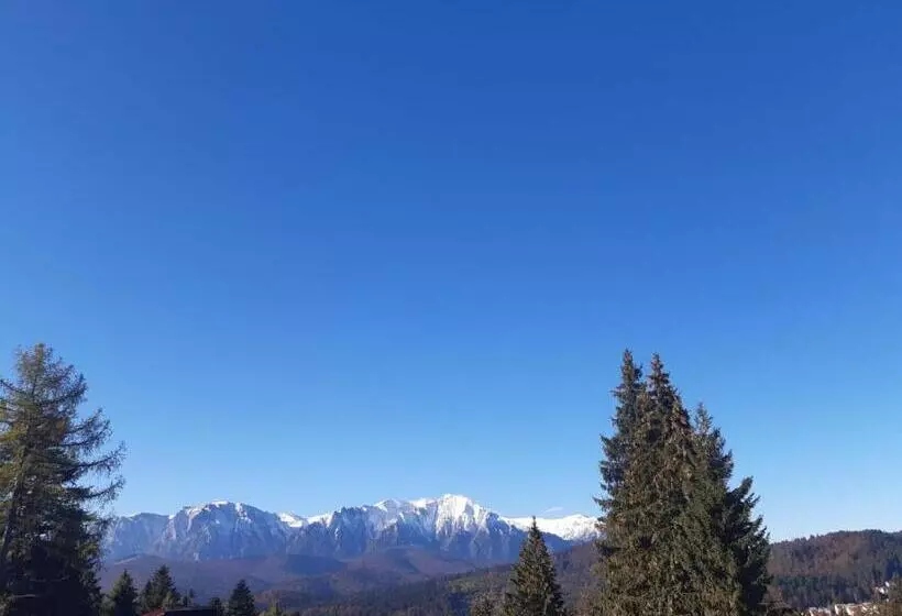 Hotel Pensiunea Margaritar