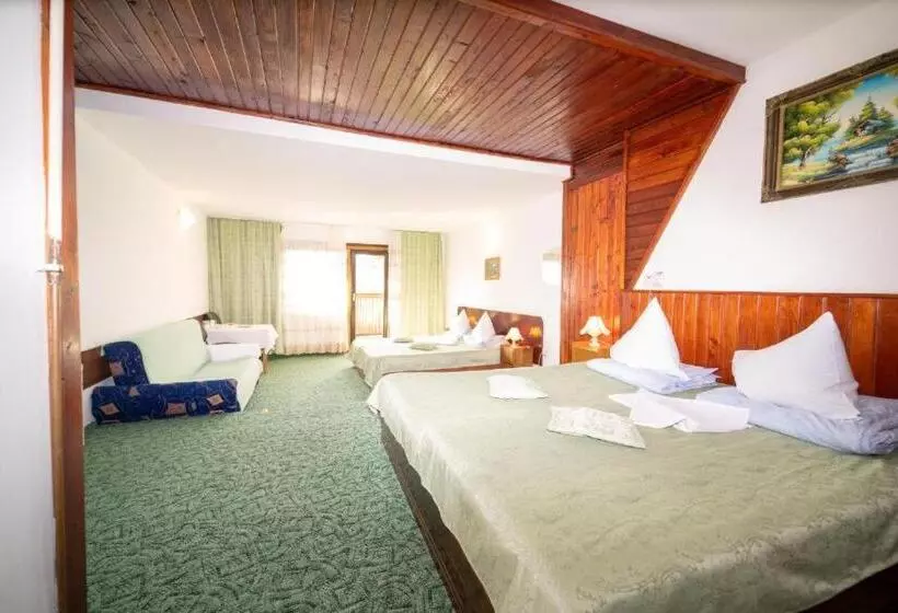 Hotel Pensiunea Margaritar