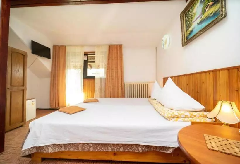 Hotel Pensiunea Margaritar