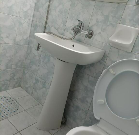 فندق Pensiunea Margaritar