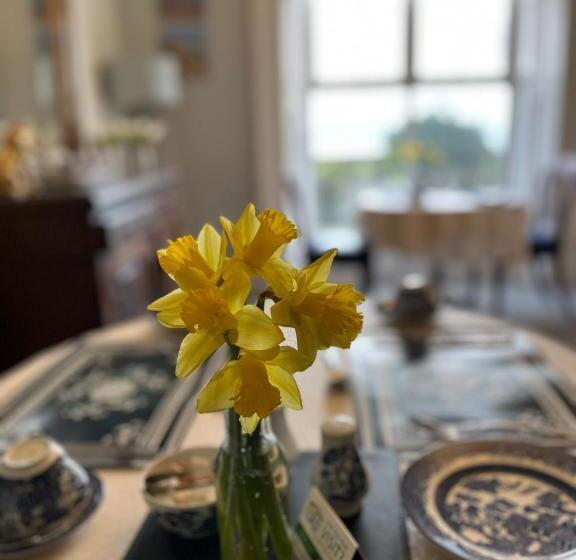 Hotel Tides Reach Guest House