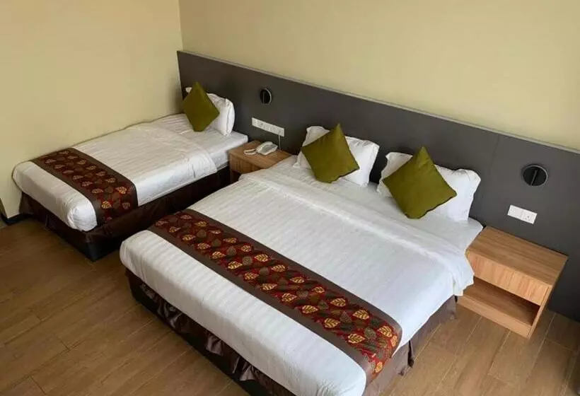 ホテル Wing Tat Grand